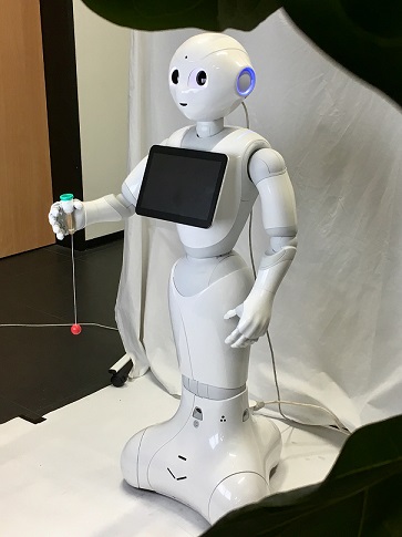 Liu - Pepper robot